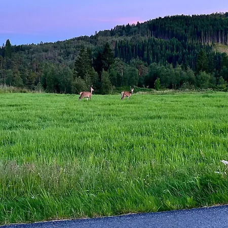 Knuttunet Sunnfjord *
