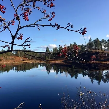 Knuttunet Sunnfjord Holiday home *