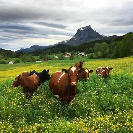 Knuttunet Sunnfjord